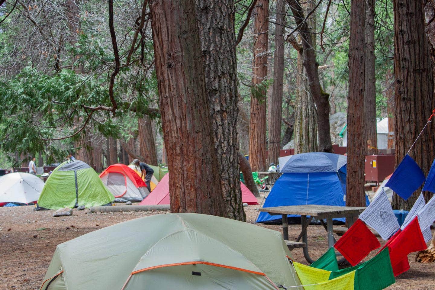 Camp 4 campground



This is a view of the Camp 4 campground with tents

Credit: Yosemite National Park