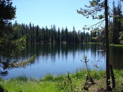 Camper submitted image from Summit Lake North — Lassen Volcanic National Park - 2