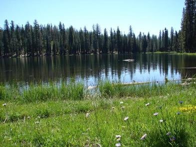 Camper submitted image from Summit Lake North — Lassen Volcanic National Park - 1