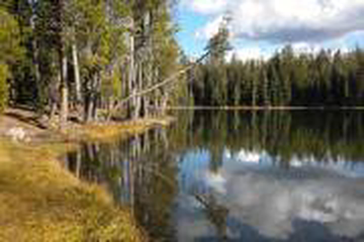 Camper submitted image from Summit Lake North — Lassen Volcanic National Park - 1