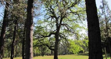 Flumet Flat Group Campground