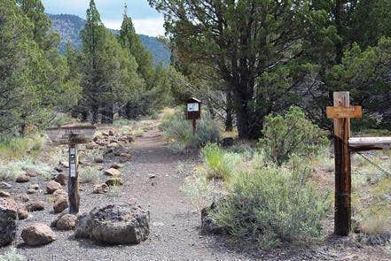 Camper submitted image from South Steens Campground - 3