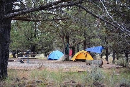 Camper submitted image from South Steens Campground - 5