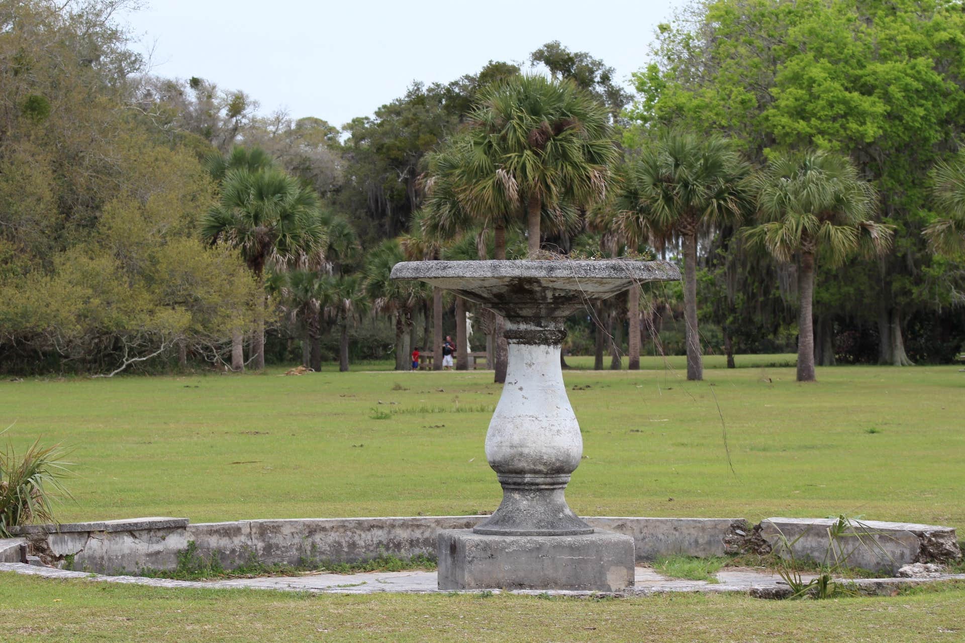 Camper submitted image from Sea Camp Campground — Cumberland Island National Seashore - 5