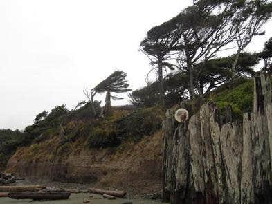 Ocean Shores - Photo 3