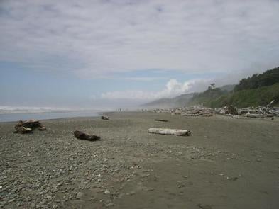 Camper submitted image from Kalaloch Campground - group — Olympic National Park - 3