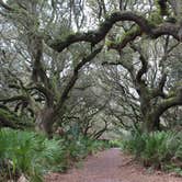 Review photo of Sea Camp Campground — Cumberland Island National Seashore by Annie C., September 10, 2016