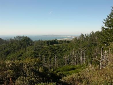 Camper submitted image from Wildcat Campground — Point Reyes National Seashore - 2