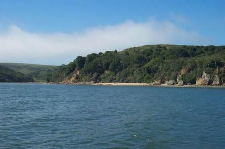 Camper submitted image from Wildcat Campground — Point Reyes National Seashore - 3
