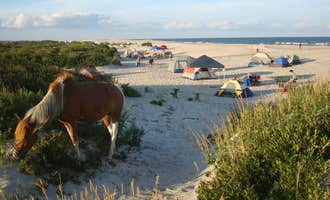 Camping near Assateague State Park Campground: Bayside Assateague Campground — Assateague Island National Seashore, Assateague Island National Seashore, Maryland