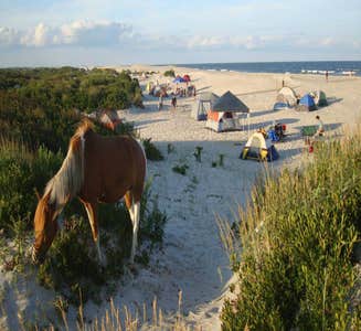 Camper-submitted photo from Bayside Assateague Campground — Assateague Island National Seashore