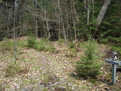 Camper-submitted photo at Channel Marker Campsite On Grand Island near Marquette, MI