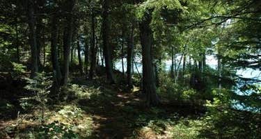 Juniper Flats Group Campsite on Grand Island