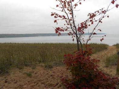 Camper submitted image from Little Dune II Campsite on Grand Island - 3