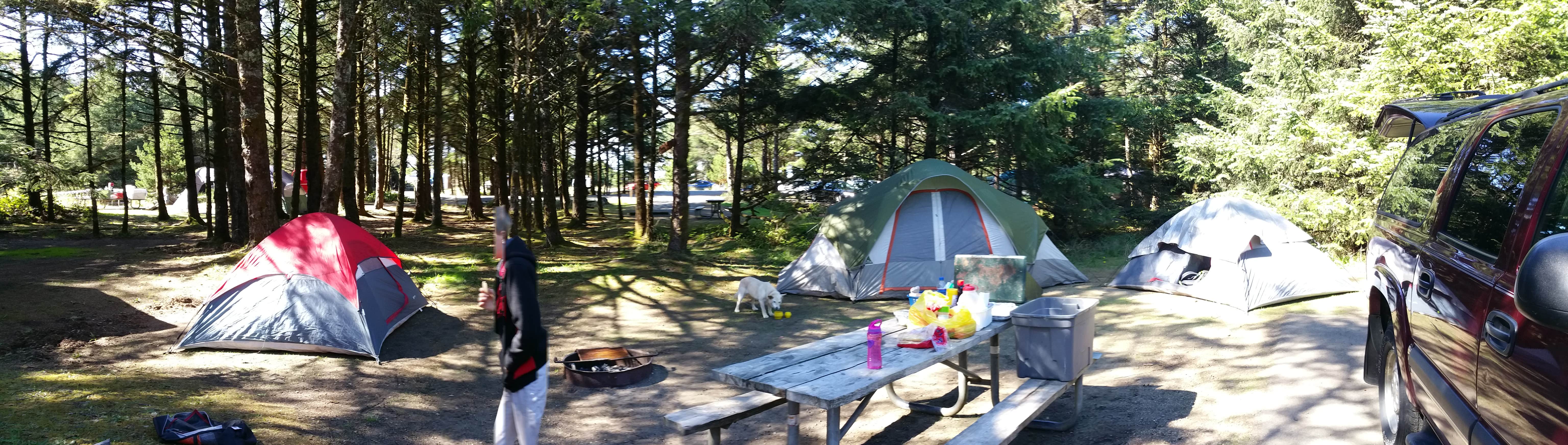 Shannon E.'s photo at Cape Disappointment State Park Campground near Gearhart, OR