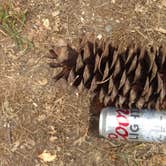 Review photo of Pines Campground Stanislaus — Stanislaus National Forest by Kevin L., September 29, 2015