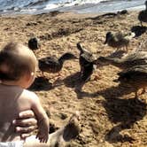 Review photo of Golden Beach Campground by Jennifer I., September 10, 2016