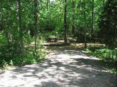 Camper-submitted photo at Houston Recreation Area near Arley, AL