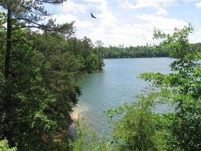 Camper-submitted photo at Houston Recreation Area near Arley, AL