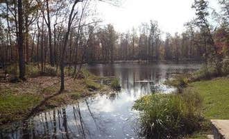 Camping near Foscue Creek: Jennings Ferry, Moundville, Alabama