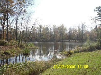 Camper submitted image from Jennings Ferry - 3