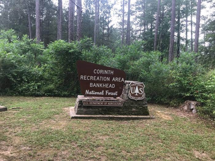 Camper submitted image from Corinth Recreation Area - 1