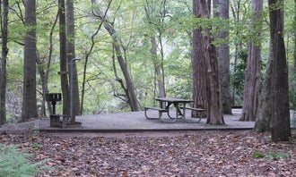 Camping near St. Stephens Historical Park: Isaac Creek, Monroeville, Alabama