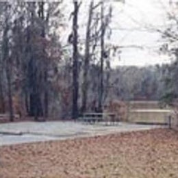 Public Campgrounds: COE Walter F George Lake Bluff Creek Campground