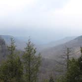 Review photo of Fall Creek Falls State Park Campground by Annie C., September 10, 2016