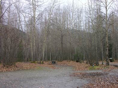 Camper submitted image from Dyea Campground — Klondike Gold Rush National Historical Park - 3