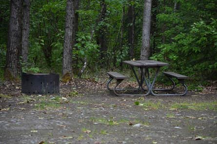 Camper submitted image from Dyea Campground — Klondike Gold Rush National Historical Park - 4
