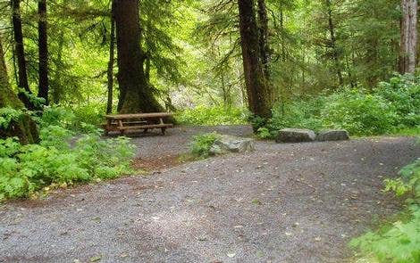 Camper submitted image from Starrigavan Campsites - 3