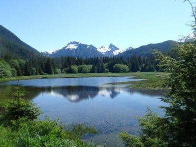 Nature