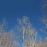 Review photo of Fall Creek Falls State Park Campground by Annie C., September 10, 2016