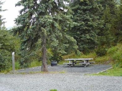 Camper submitted image from Tenderfoot Creek - 2