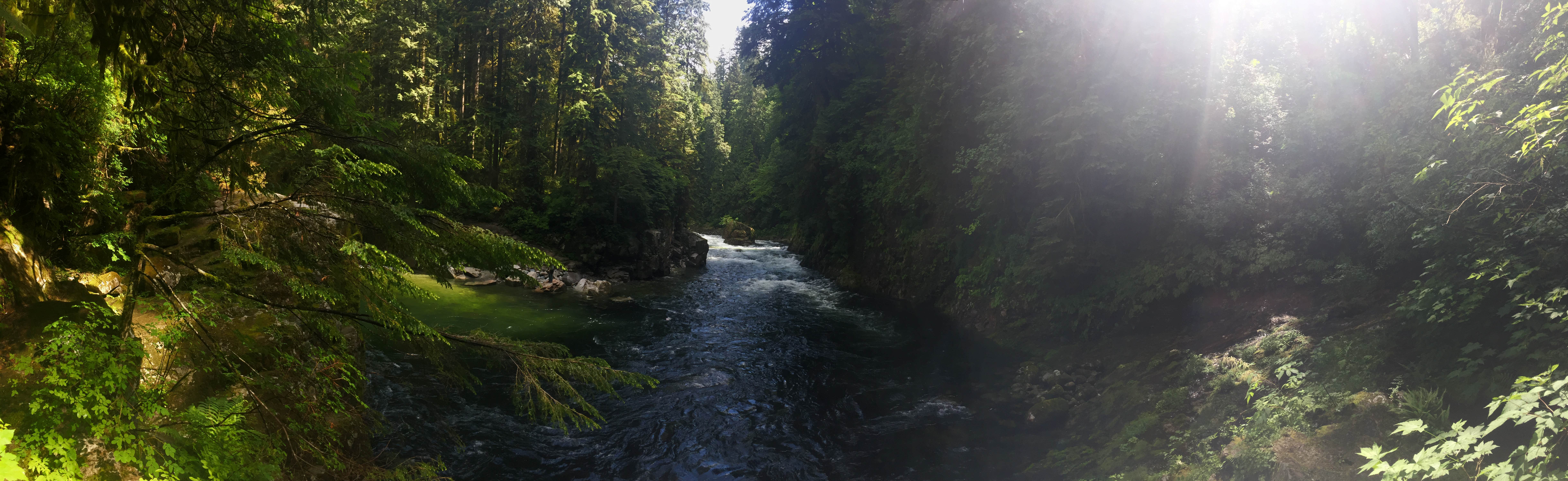 Nature