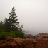 Review photo of Seawall Campground — Acadia National Park by Kevin M., September 10, 2016