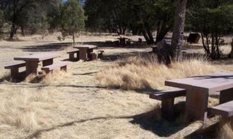 Camping near Peaks Valley Preserve: Camp Rucker Group Site, Chiricahua, Arizona
