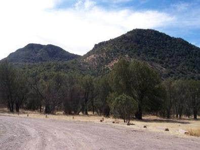 West Turkey Creek Dispersed