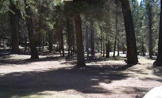 Camping near Clark Peak Corrals: Upper Hospital Flat Group Site, Thatcher, Arizona