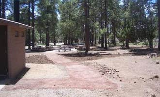 Camping near Potato Patch Campground: Playground Group, Jerome, Arizona