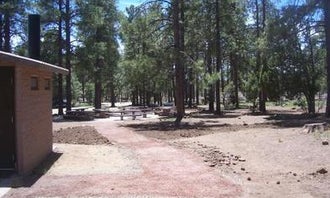 Camping near Plum Creek Alpacas: Playground Group, Jerome, Arizona