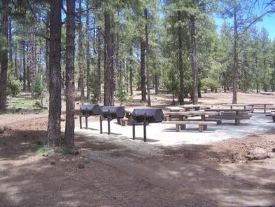 Playground Group



picnic area

Credit: US Forest Service