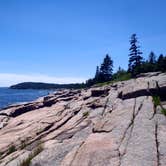 Review photo of Seawall Campground — Acadia National Park by Kevin M., September 10, 2016