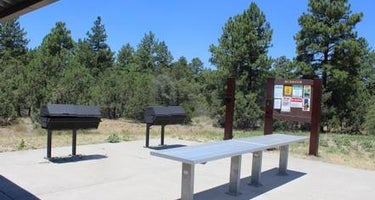 Timber Camp Recreation Area and Group Campgrounds
