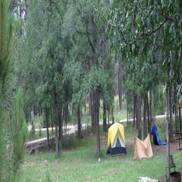 Public Campgrounds: Aspen Campground at Woods Canyon