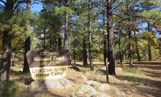 Camping near 5430 Snow Bowl: Little Elden Springs Horsecamp, Flagstaff, Arizona