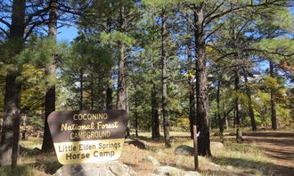 Camping near Bonito Campground — Sunset Crater National Monument: Little Elden Springs Horsecamp, Flagstaff, Arizona