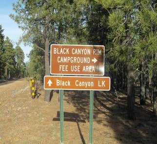 Camper-submitted photo from Black Canyon Rim Campground (apache-sitgreaves National Forest, Az)