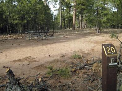 Camper submitted image from Black Canyon Rim Campground (apache-sitgreaves National Forest, Az) - 1